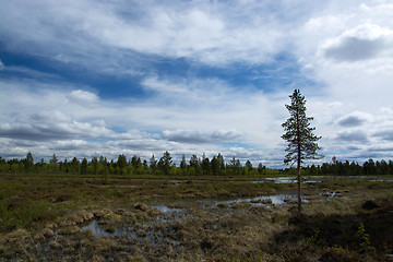 Image showing Wide Land in Finland