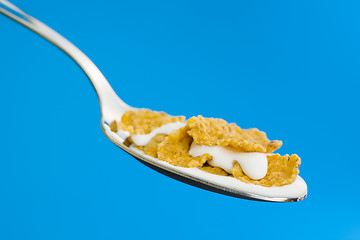 Image showing Corn flakes on the spoon