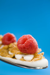 Image showing Corn flakes on the spoon