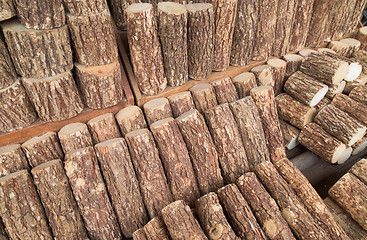 Image showing Wood for thanaka produktion