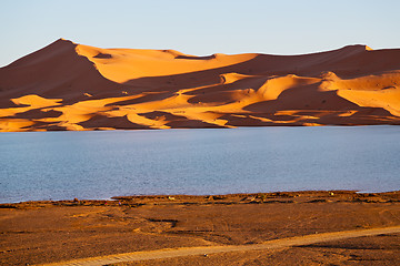 Image showing   in the lake yellow    dune