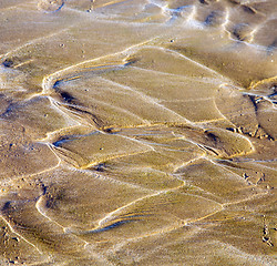 Image showing dune morocco in africa brown coastline wet sand beach near atlan