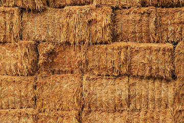 Image showing corn straw cubes