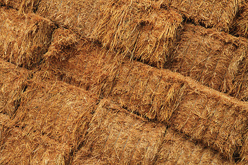 Image showing corn straw cubes