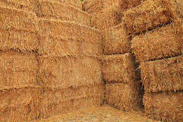 Image showing corn straw cubes