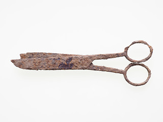 Image showing Rusted scissors