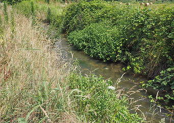 Image showing Water rivulet