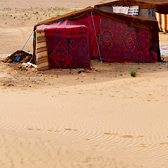 Image showing tent in  the desert of morocco sahara and rock  stone    sky