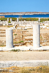 Image showing bush   in delos greece the historycal acropolis  