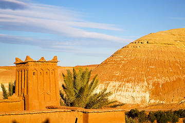 Image showing africa in morocco the old contruction tree