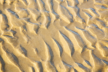 Image showing dune morocco in africa brown  sand beach near  