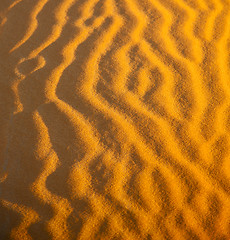 Image showing the brown sand dune in the sahara morocco desert 