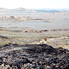 Image showing mountain old fossil in  the desert of morocco sahara and rock  s