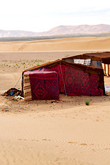 Image showing tent in  the morocco sahara    sky