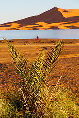 Image showing   in the lake yellow   morocco sand and     dune