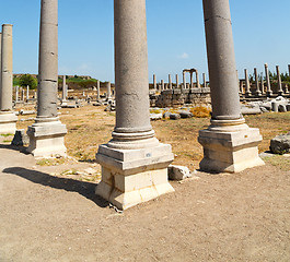 Image showing perge old construction in asia turkey the column  and the roman 