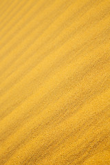 Image showing the brown sand dune in the 