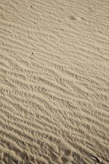 Image showing   brown sand dune  the sahara  