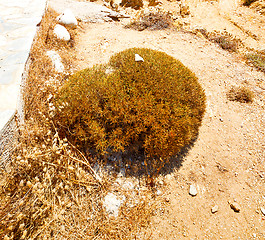 Image showing in greece the mykonos island rock sea and beach blue   sky