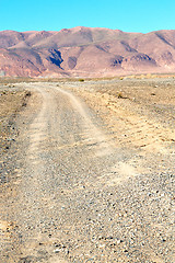 Image showing   bush  in    valley  morocco        atlas dry mountain  