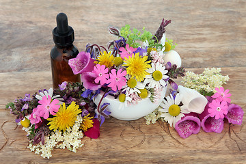 Image showing Herbal Medicine 