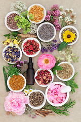 Image showing Herbal Medicine