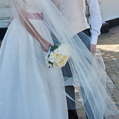 Image showing Elegant bride and groom posing together 