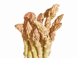 Image showing Retro looking Asparagus