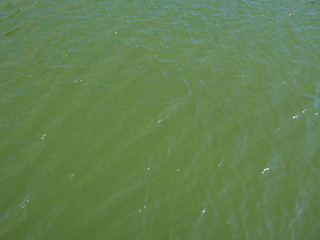 Image showing Green water background