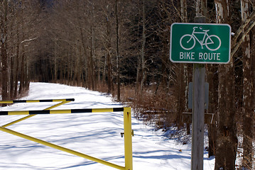 Image showing Bike Trail In Winter