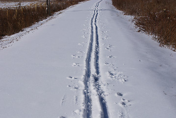 Image showing Nordic Ski Tracks