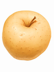 Image showing Retro looking Apple fruit