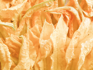 Image showing Retro looking Courgette flowers