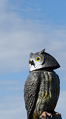 Image showing owl