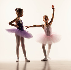 Image showing The two little ballet girls in tutu 