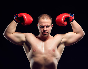 Image showing Muscular young caucasian boxer wearing boxing gloves