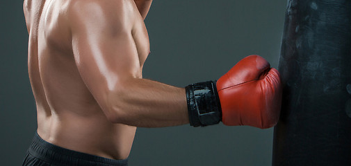 Image showing Young Boxer boxing 