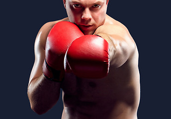 Image showing Young Boxer boxing 