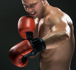 Image showing Young Boxer boxing 