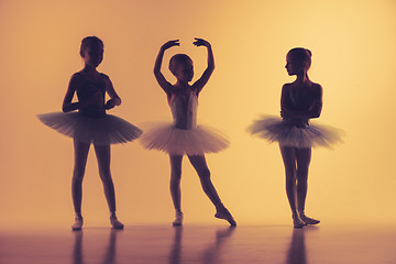 Image showing Three little ballerinas in dance studio