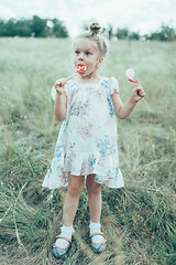 Image showing The young girl on green grass background 