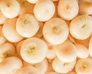 Image showing Retro looking Onions