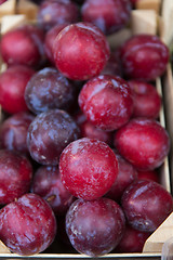 Image showing close up of satsuma plums in box at street market