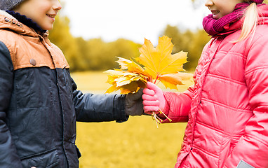 Image showing little boy giving autumn maple leaves to girl