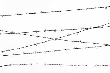 Image showing barb wire fence over gray sky