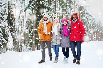 Image showing group of smiling men and women in winter forest