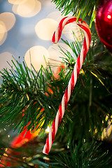 Image showing close up of sugar cane candy on christmas tree