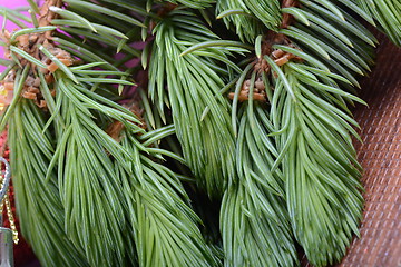 Image showing Closeup of beautiful Christmas baubles, Decorated christmas tree, holiday background, green tree eve branch close up with christmas balls 