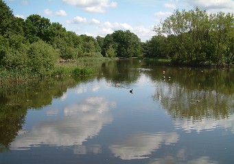 Image showing Reflections