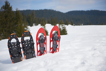 Image showing winter snowshoes